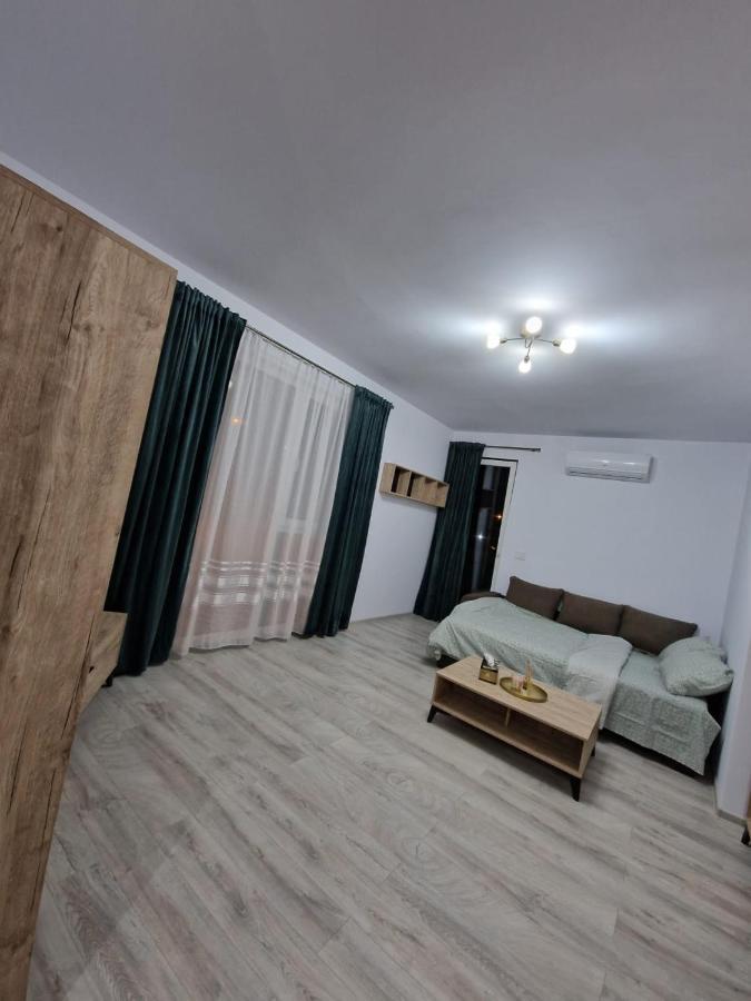 Apartament Modern Cu O Camera Apartment Timisoara Ngoại thất bức ảnh